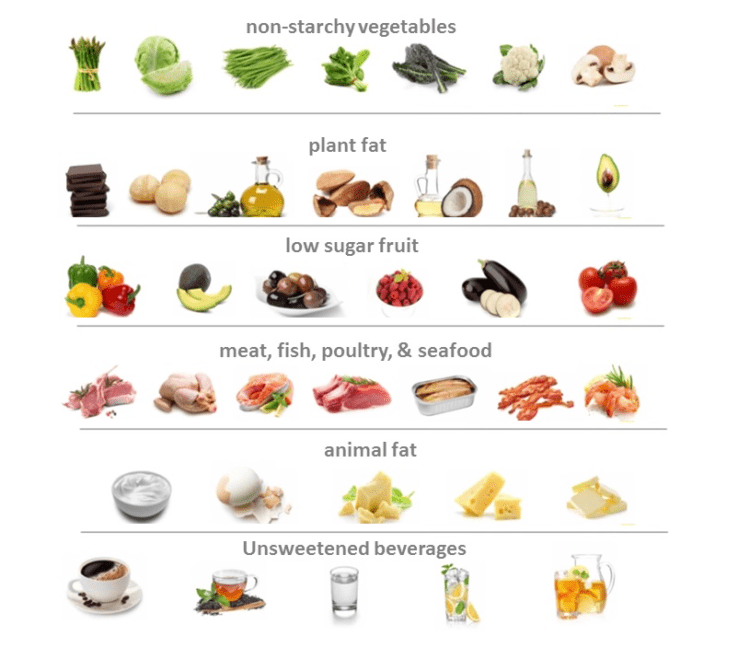 A Low Carb High Healthy Fat Diet