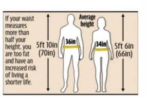 Height To Waist Ratio Chart