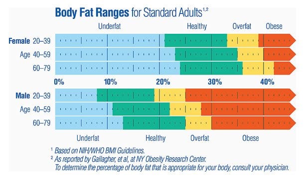 Body Fat Percentile Chart