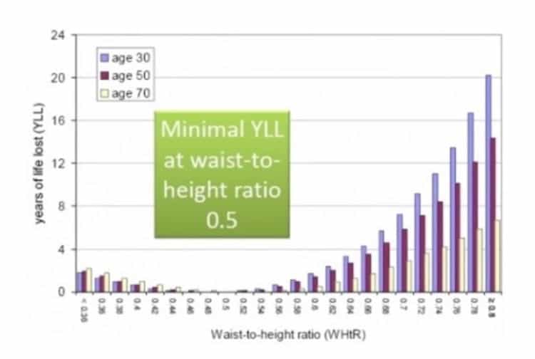 Healthy Waist Size Chart For Women