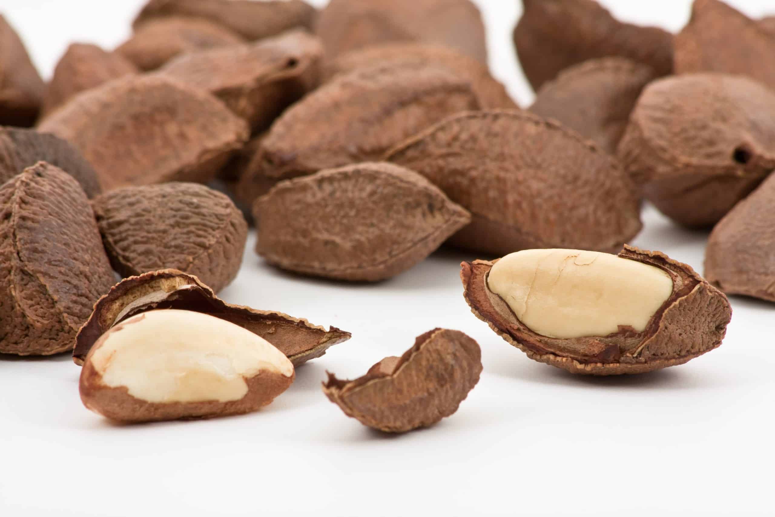 brazil nuts in shell