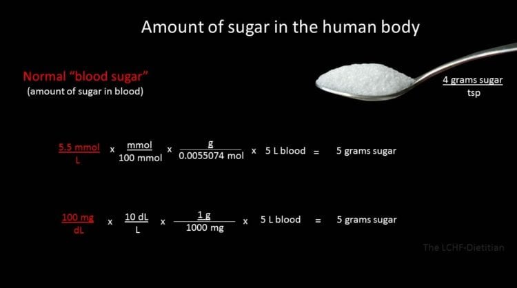 understand sugar in body