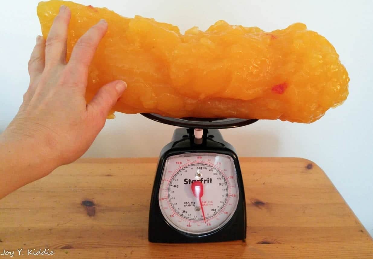 5 Lbs Of Fat On Scale Jan 27 2020 1 The Low Carb Healthy Fat Dietitian